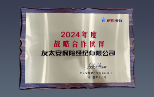 2024 年度